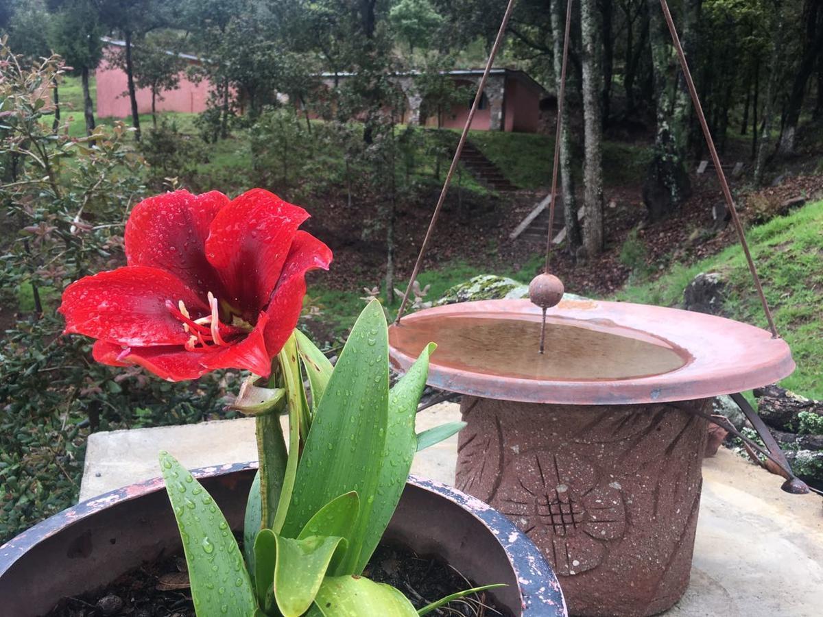 Rancho Escondido Casa Goyri Hotel Tlaxco Ngoại thất bức ảnh
