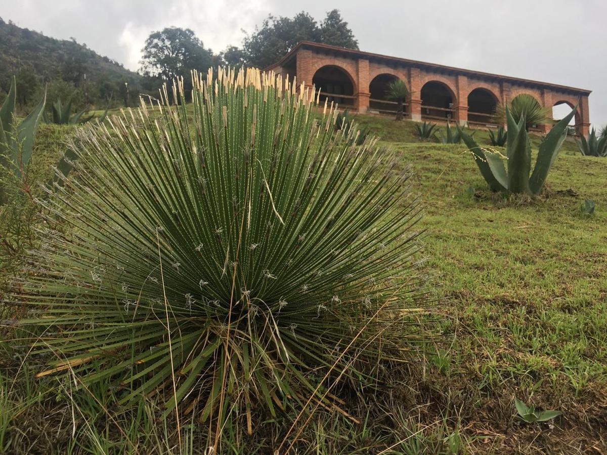 Rancho Escondido Casa Goyri Hotel Tlaxco Ngoại thất bức ảnh